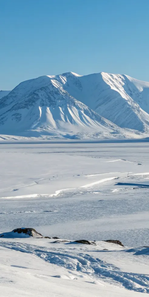 Arctic